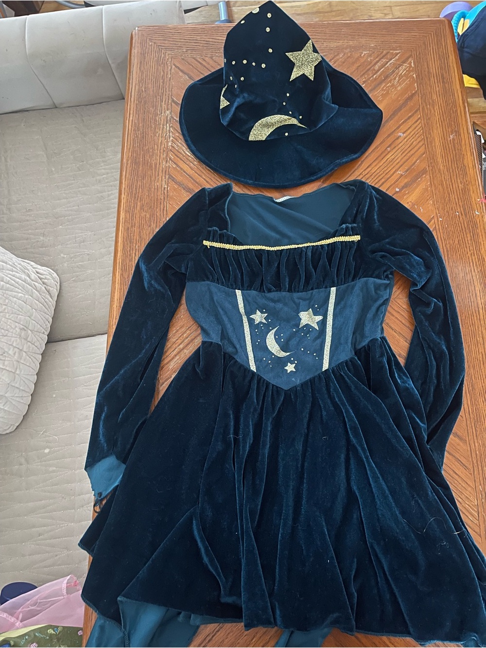 Celebrate It Dark Blue Velvet Wizard Costume with Gold Accents